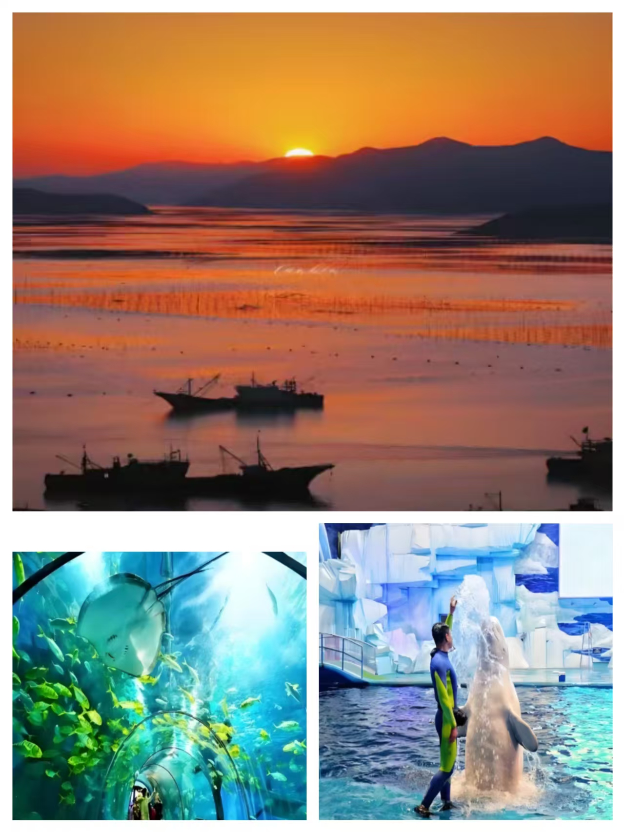 国庆【蔚蓝东海岸】—— 霞浦三沙东壁观海+东海一号、罗源湾海洋世界2日游（入住4钻酒店）